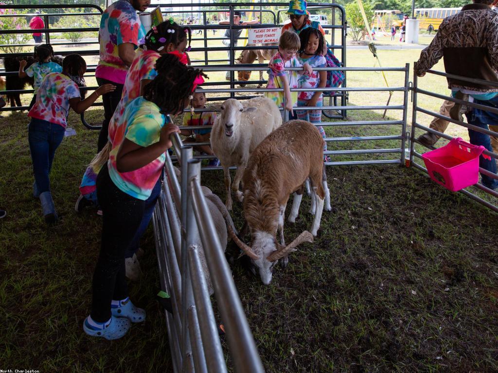 អំពីល្បែងកំសាន្ត: ស្គាល់និងស្វែងយល់ពីការកំសាន្ត