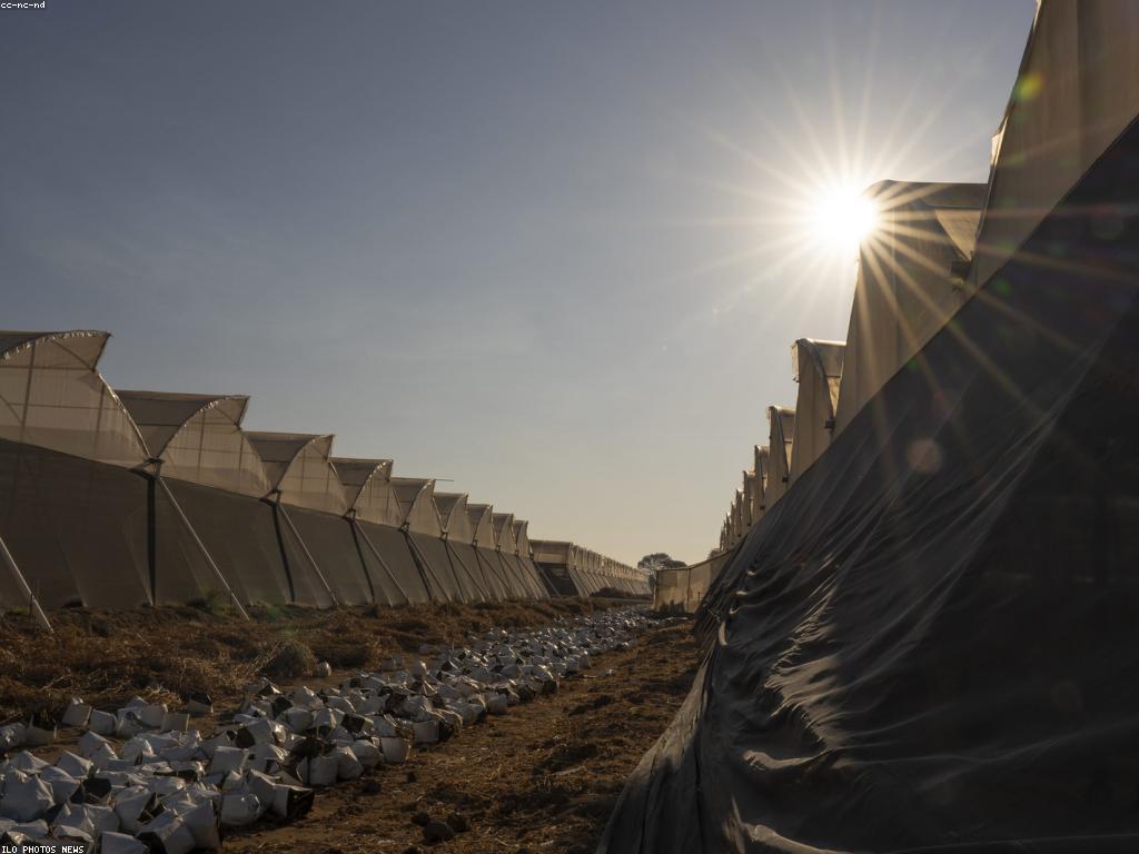 សារៈសំខាន់នៃការពារសុវត្ថិភាពក្នុងជីវិត