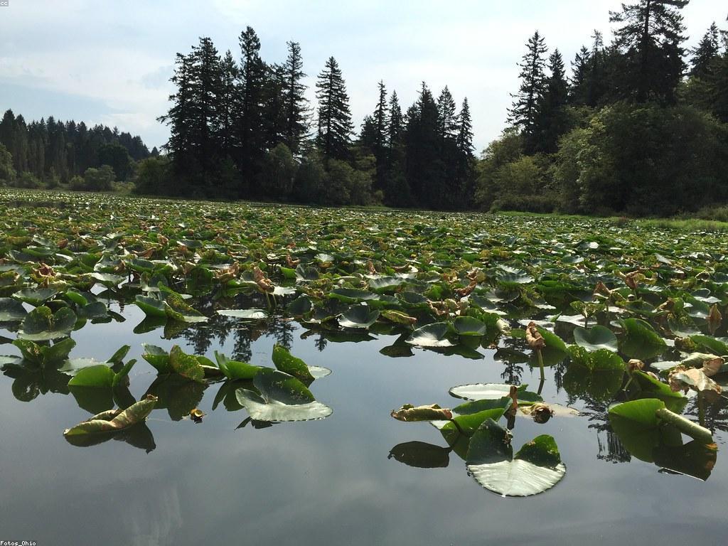 អំពីល្បែងកំសាន្ត: ពិភពថ្មីនៃសកម្មភាពកំសាន្ត